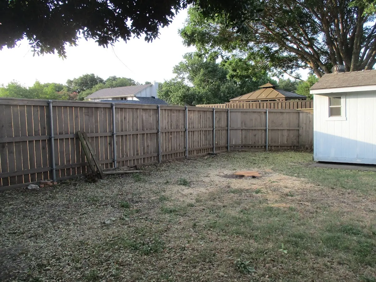 Cleared yard after professional tree removal in Howard